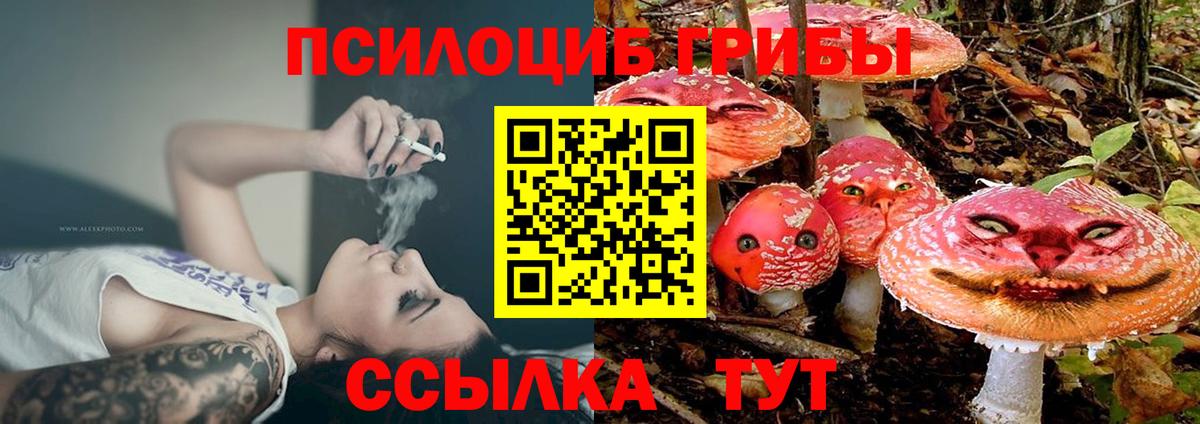 Псилоцибиновые грибы прущие грибы  Псилоцибиновые грибы мухоморы  Вход с VPN  Десногорск 